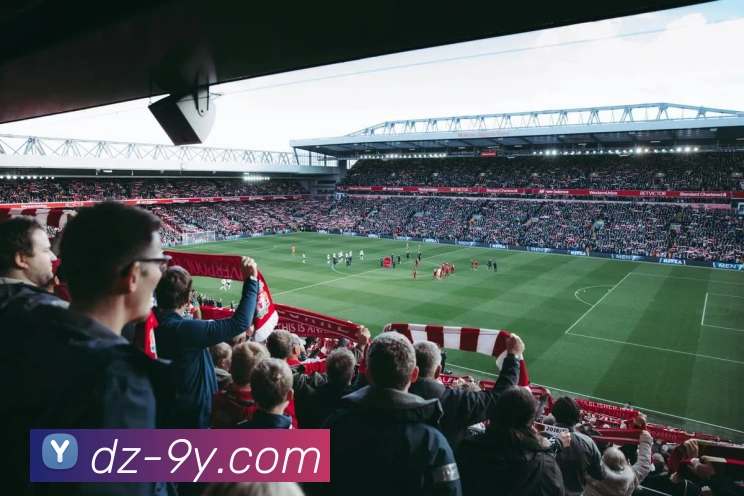 九游官网服务体系